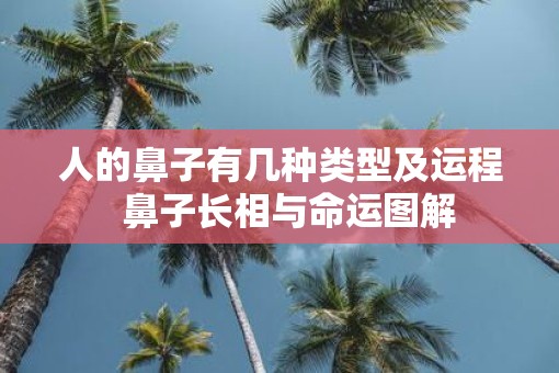 人的鼻子有几种类型及运程  鼻子长相与命运图解