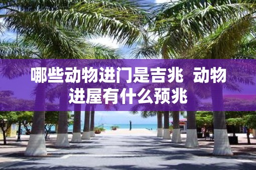 哪些动物进门是吉兆 动物进屋有什么预兆 哪些动物进门是吉兆 动物进屋有什么预兆