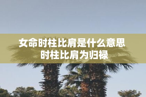 女命时柱比肩是什么意思  时柱比肩为归禄