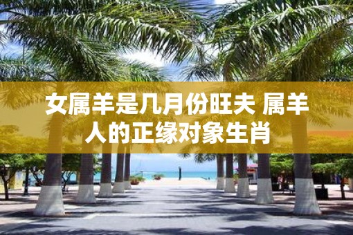 女属羊是几月份旺夫 属羊人的正缘对象生肖