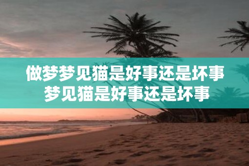 做梦梦见猫是好事还是坏事 梦见猫是好事还是坏事
