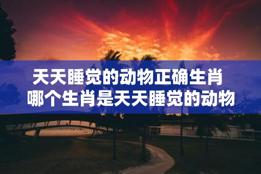 天天睡觉的动物正确生肖 哪个生肖是天天睡觉的动物