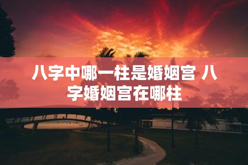 八字中哪一柱是婚姻宫 八字婚姻宫在哪柱
