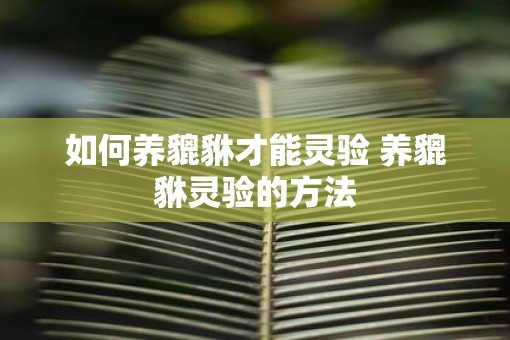 如何养貔貅才能灵验 养貔貅灵验的方法