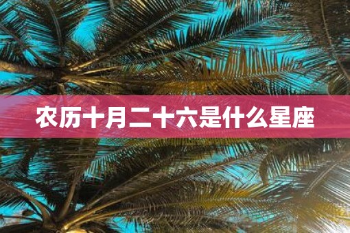 农历十月二十六是什么星座