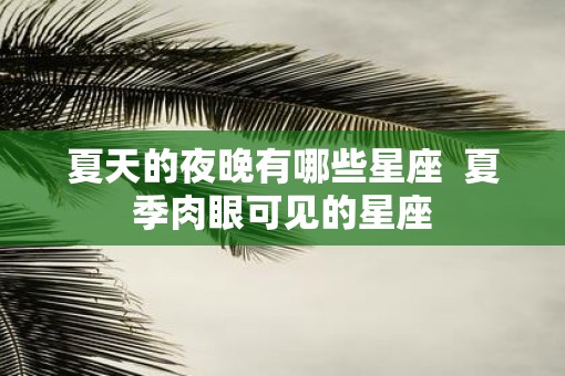 夏天的夜晚有哪些星座  夏季肉眼可见的星座