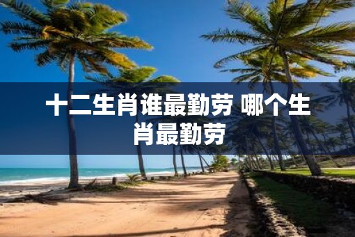 十二生肖谁最勤劳 哪个生肖最勤劳