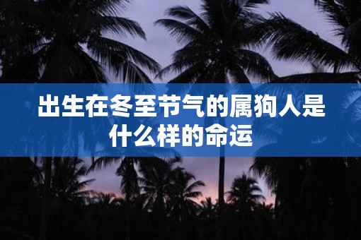 出生在冬至节气的属狗人是什么样的命运