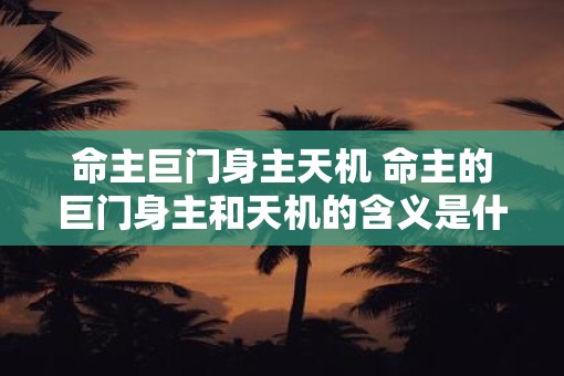 命主巨门身主天机 命主的巨门身主和天机的含义是什么