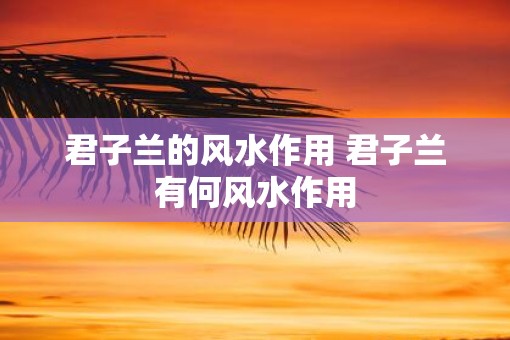 君子兰的风水作用 君子兰有何风水作用