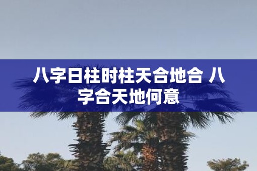 八字日柱时柱天合地合 八字合天地何意 八字日柱时柱天合地合 八字合天地何意