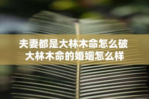 夫妻都是大林木命怎么破 大林木命的婚姻怎么样