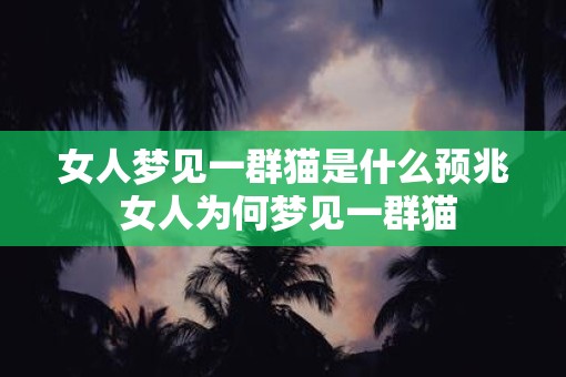 女人梦见一群猫是什么预兆 女人为何梦见一群猫