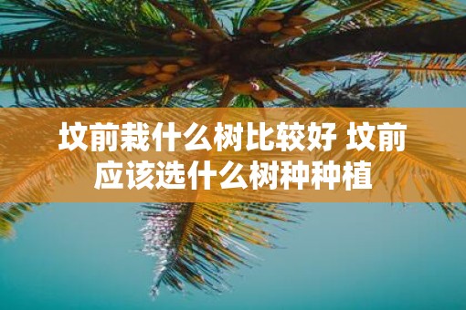 坟前栽什么树比较好 坟前应该选什么树种种植