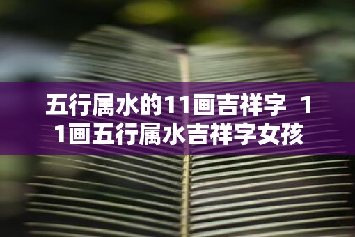 五行属水的11画吉祥字 11画五行属水吉祥字女孩 五行属水的11画吉祥字 11画五行属水吉祥字女孩