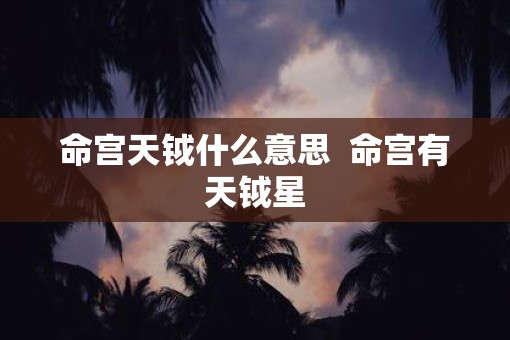 命宫天钺什么意思  命宫有天钺星
