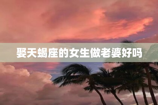 娶天蝎座的女生做老婆好吗