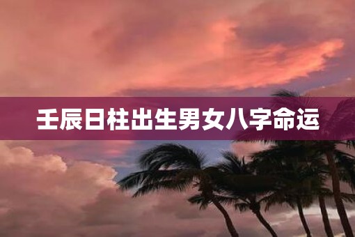 壬辰日柱出生男女八字命运