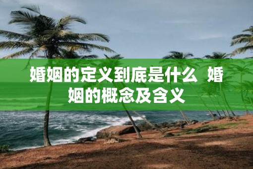 婚姻的定义到底是什么  婚姻的概念及含义