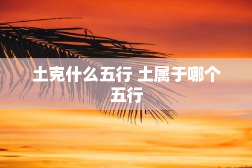 土克什么五行 土属于哪个五行