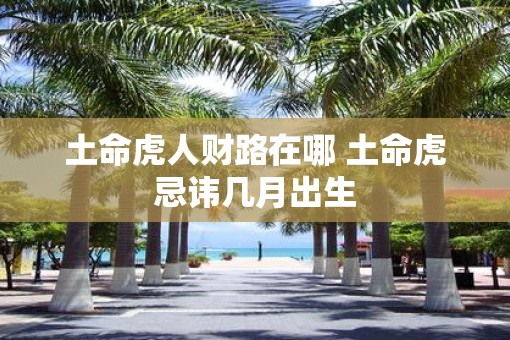 土命虎人财路在哪 土命虎忌讳几月出生