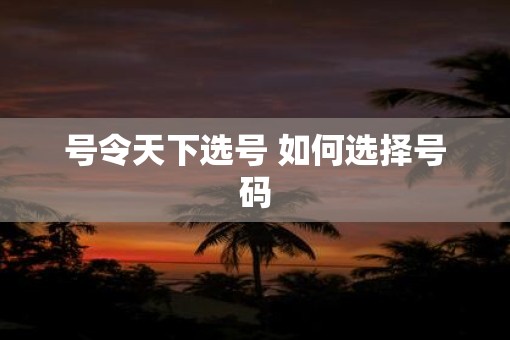 号令天下选号 如何选择号码