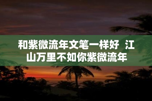 和紫微流年文笔一样好  江山万里不如你紫微流年