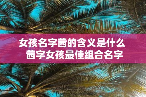 女孩名字茜的含义是什么  茜字女孩最佳组合名字