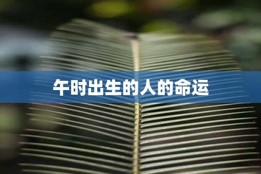 午时出生的人的命运