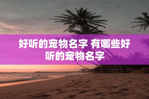 好听的宠物名字 有哪些好听的宠物名字