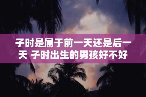 子时是属于前一天还是后一天 子时出生的男孩好不好