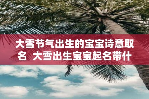 大雪节气出生的宝宝诗意取名  大雪出生宝宝起名带什么字好