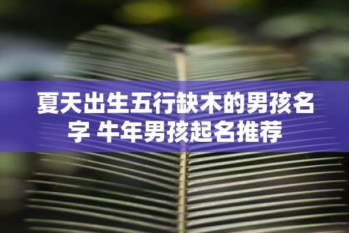 夏天出生五行缺木的男孩名字 牛年男孩起名推荐