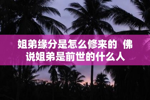 姐弟缘分是怎么修来的  佛说姐弟是前世的什么人
