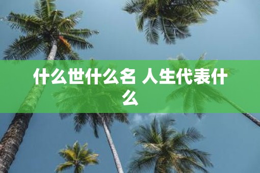什么世什么名 人生代表什么