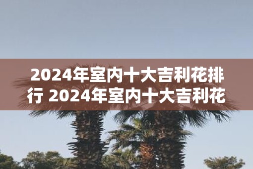 2025年室内十大吉利花排行 2025年室内十大吉利花是什么