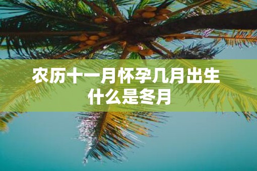 农历十一月怀孕几月出生 什么是冬月