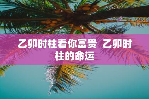 乙卯时柱看你富贵  乙卯时柱的命运