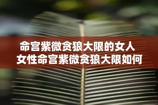 命宫紫微贪狼大限的女人 女性命宫紫微贪狼大限如何解