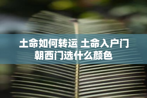 土命如何转运 土命入户门朝西门选什么颜色