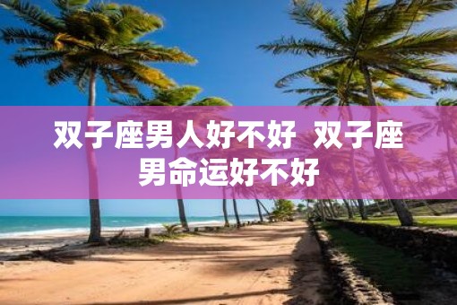 双子座男人好不好  双子座男命运好不好
