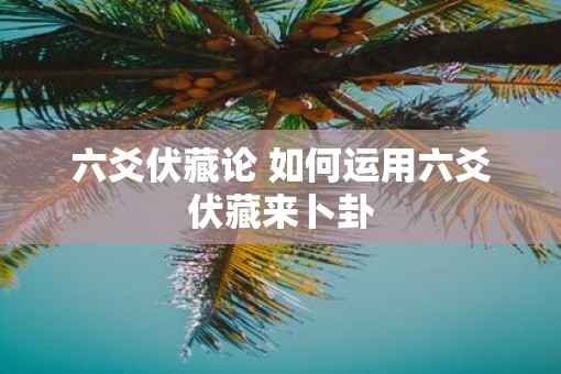 六爻伏藏论 如何运用六爻伏藏来卜卦