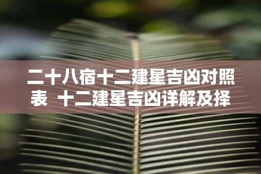 二十八宿十二建星吉凶对照表  十二建星吉凶详解及择吉运用