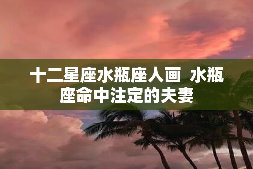 十二星座水瓶座人画  水瓶座命中注定的夫妻