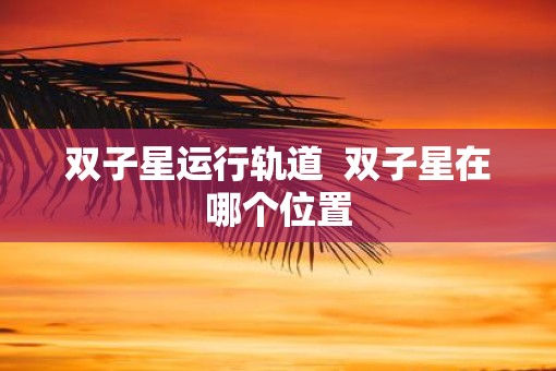 双子星运行轨道  双子星在哪个位置