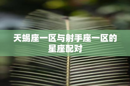 天蝎座一区与射手座一区的星座配对