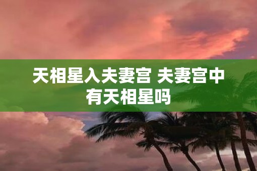 天相星入夫妻宫 夫妻宫中有天相星吗
