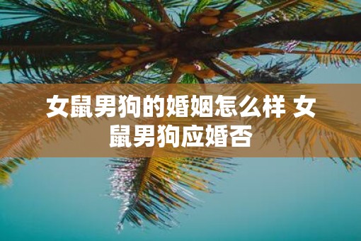 女鼠男狗的婚姻怎么样 女鼠男狗应婚否
