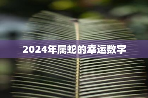 2025年属蛇的幸运数字