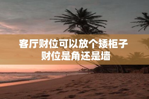 客厅财位可以放个矮柜子  财位是角还是墙